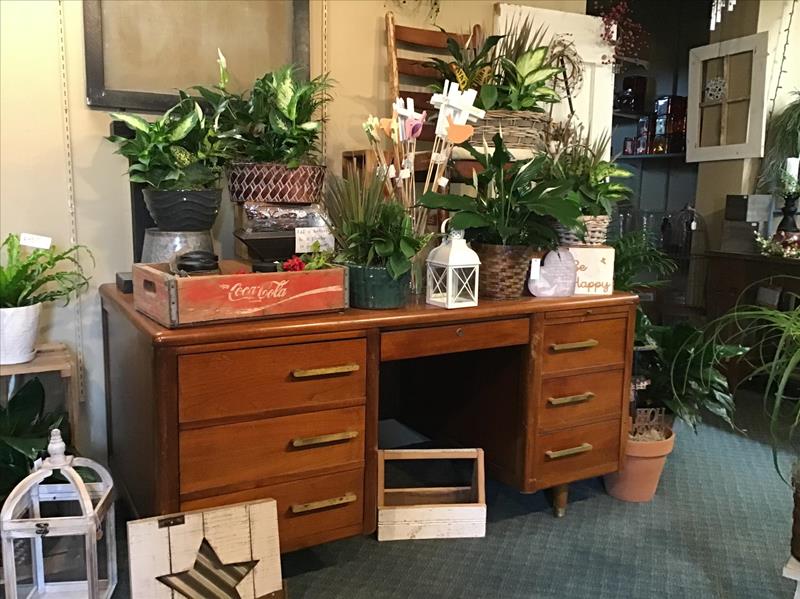 Florence's Flowers & Gifts Salem, IN